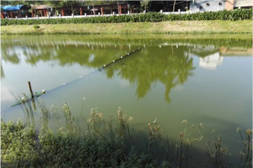 ?？诤诔羲w中試治理大比武-佳業(yè)佳境工程案例