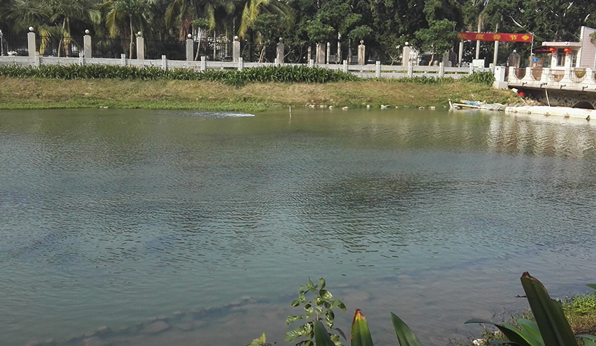 ?？诤诔羲w中試治理大比武-佳業(yè)佳境工程案例