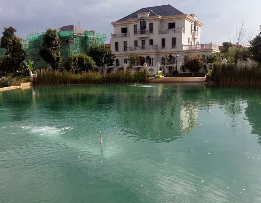 世外桃源小區(qū)景觀湖水質(zhì)提升工程-佳業(yè)佳境工程案例