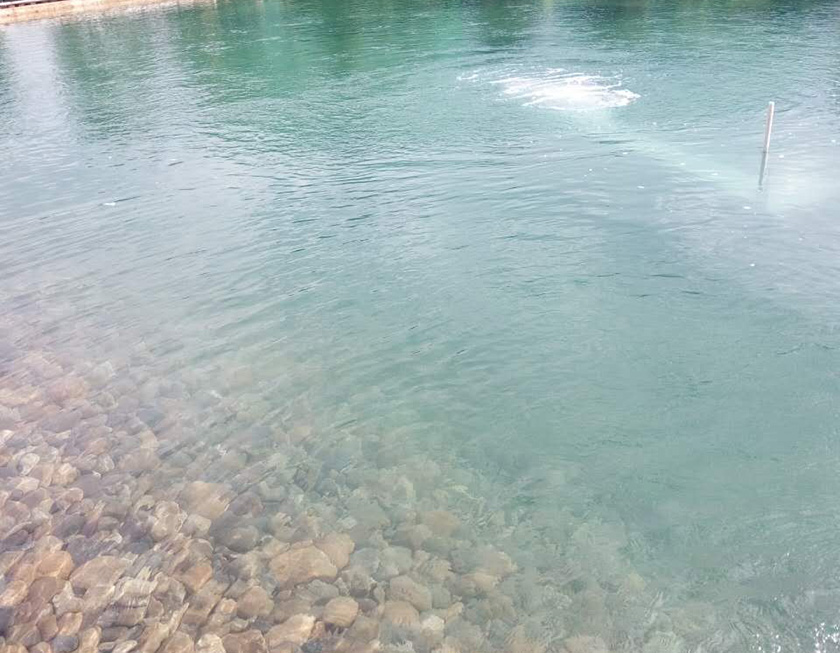 世外桃源小區(qū)景觀湖水質(zhì)提升工程-佳業(yè)佳境工程案例