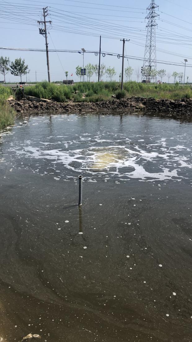 養(yǎng)殖廢水007