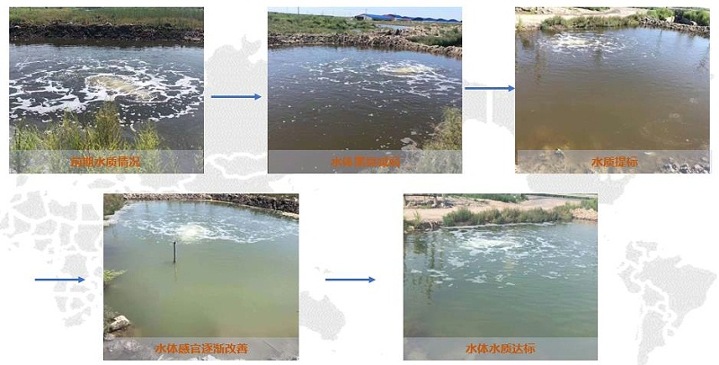 養(yǎng)殖廢水005